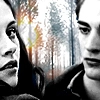 Twilight Love