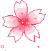 pink flower