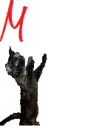 Name