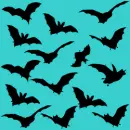 bats