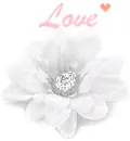 white flower