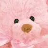 pink teddie