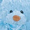 blue teddie