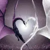 dragon heart