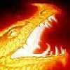 fire dragon