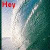 Catch Your Wave