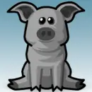 pig