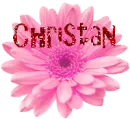 Pink Flower - Christan