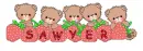 Strawberry Bears, Sawyer