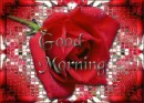 Good Morning Rose