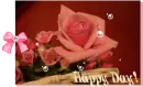 happy day!