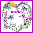 HAILEY