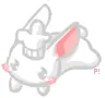cute bunny