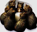 CATS