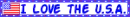 Blinkie- I Love the U.S.A.