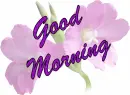Good Morning