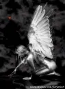 Angel/snake/bfly