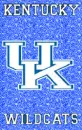 Kentucky Wildcats