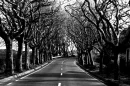 Lost Highway