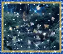fairies