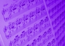 Purple notes