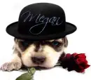 Puppy wearing hat- Megan
