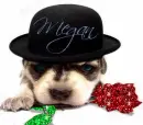 Puppy wearing hat (glitter)- Megan