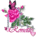 Ronette - Diamond Pink Rose