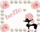 HELLO
