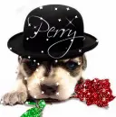 Puppy wearing hat (glitter rose & sparkles)- Perry