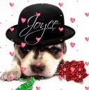 Puppy wearing hat (glitter rose & floating hearts)- Joyce