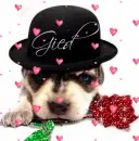 Puppy wearing hat (glitter rose & floating hearts)- Gied