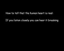 human heart