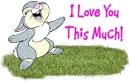 I love you this much