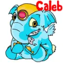 Neopet Elephante- Caleb