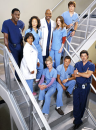 grays anatomy