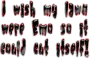 Emo lawn