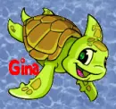 Neopet Baby Shoyru Maraquan (water)- Gina