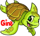 Neopet Baby Shoyru Maraquan- Gina