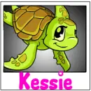 Neopet Baby Shoyru Maraquan (polaroid pic)- Kessie