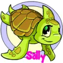 Neopet Baby Shoyru Maraquan (glitter)- Sally