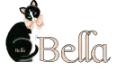 Bella - Cat