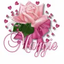maggie-pink rose