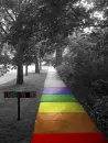 Rainbow road