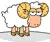 sheep