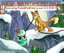 my NEOPETS guild