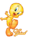 tweety gied