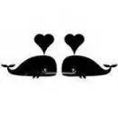 Whale Love