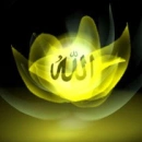 allah 