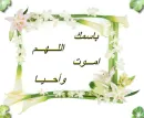 allah 